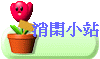 ~p