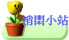 ~p